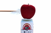 Boxer Apple Ale is a refreshing apple flavored beer