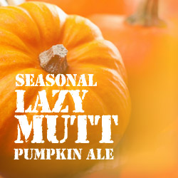 Lazy Mutt Pumpkin Ale Seasonal Beer