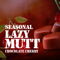 Lazy Mutt Chocolate Cherry Seasonal Beer