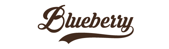 Blumers Blueberry Non Alcoholic Soda